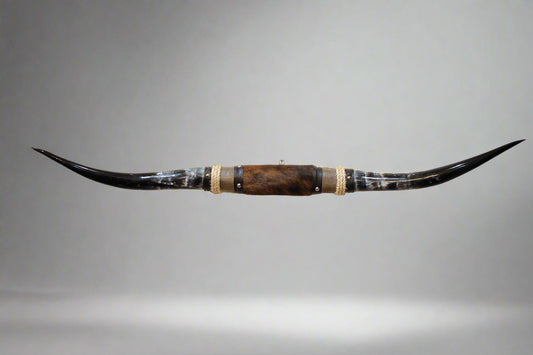 Mounted Steer Horns (48.25")