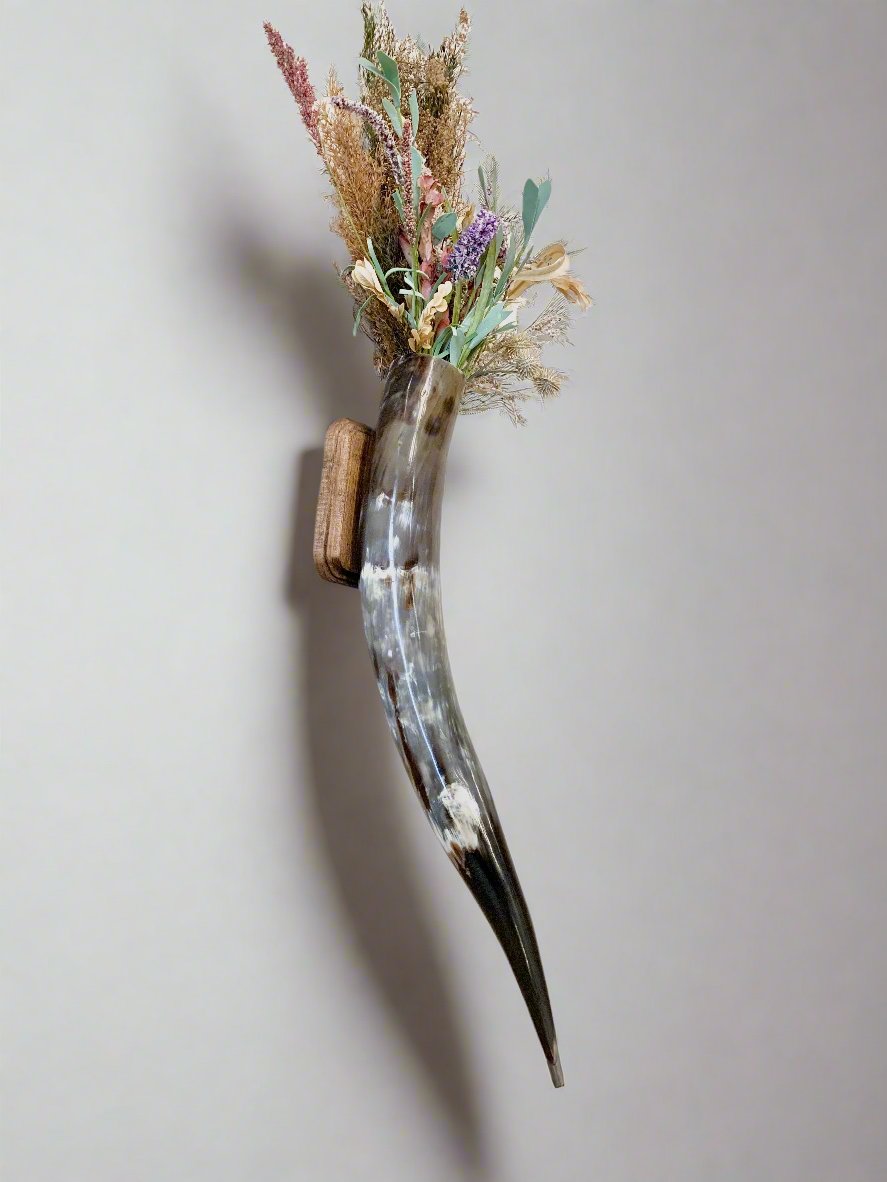 Steer Horn Wall Piece