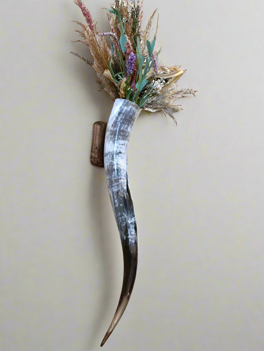 Steer Horn Wall Piece
