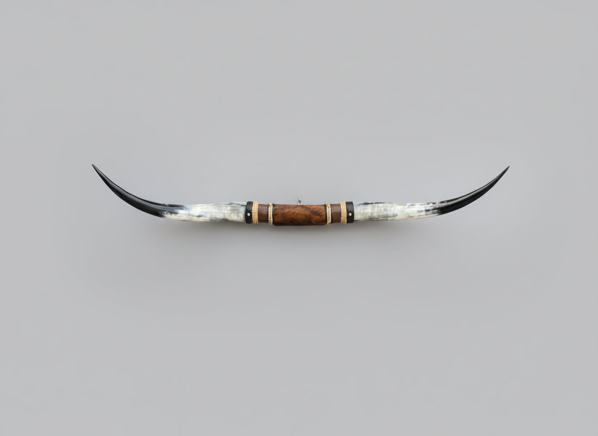 Mounted Steer Horns (50")