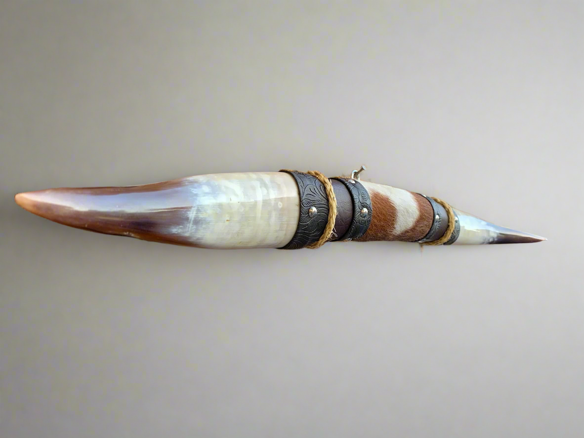 Mounted Steer Horns (24.25")