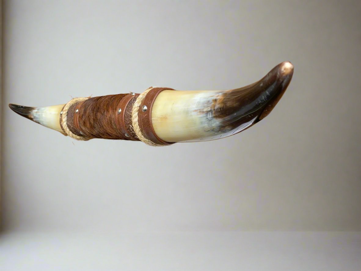 Mounted Steer Horns (22.75")