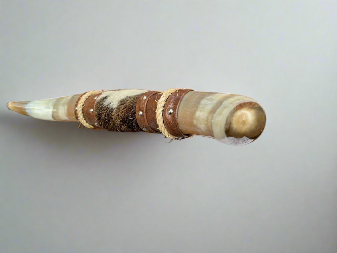 Mounted Steer Horns (20")