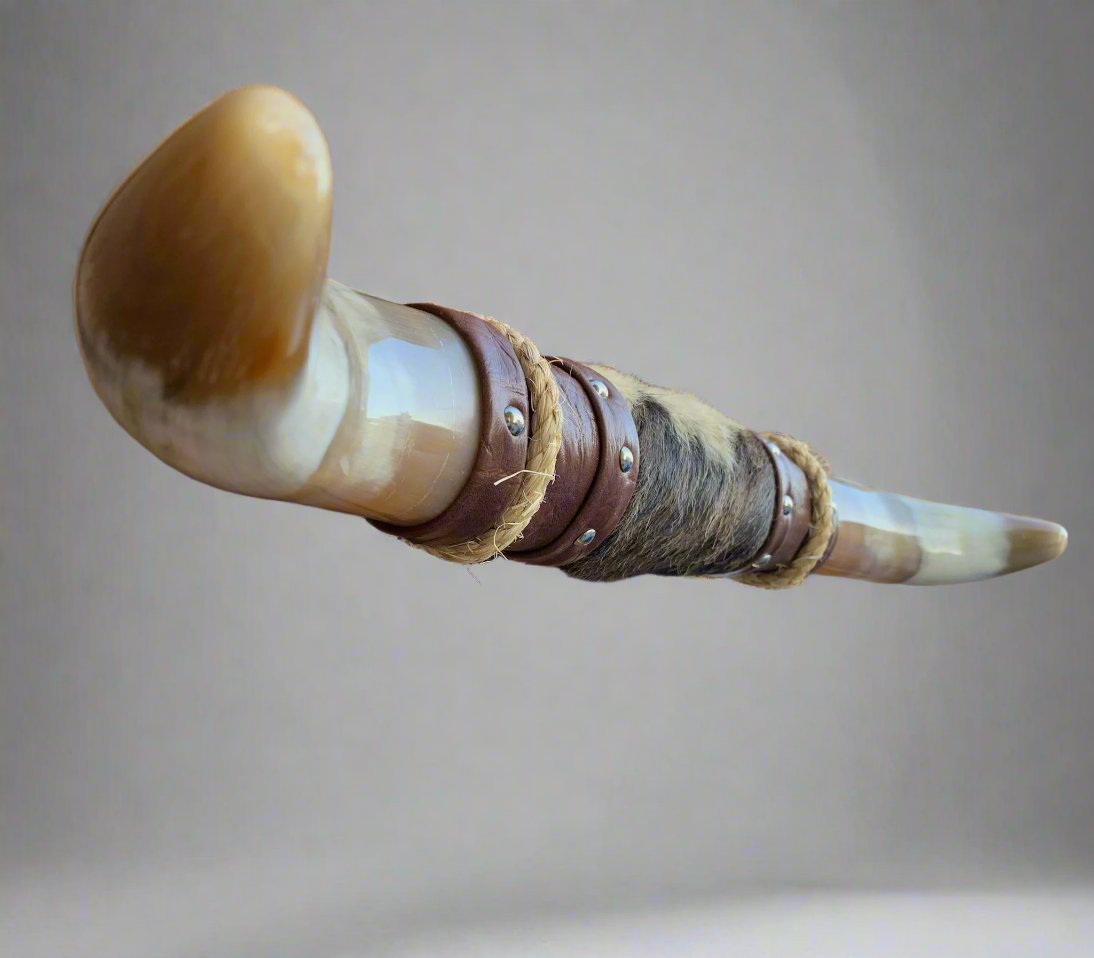 Mounted Steer Horns (20")
