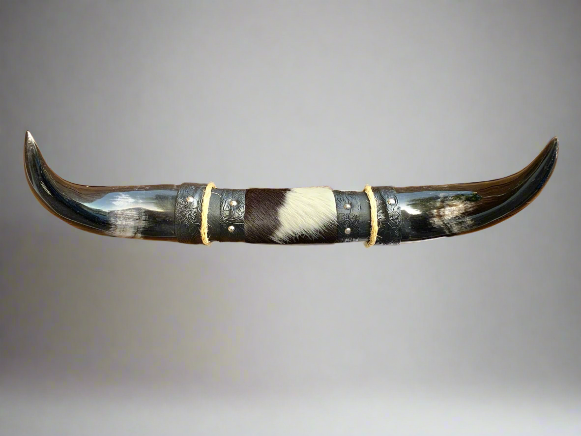 Mounted Steer Horns (18.25")