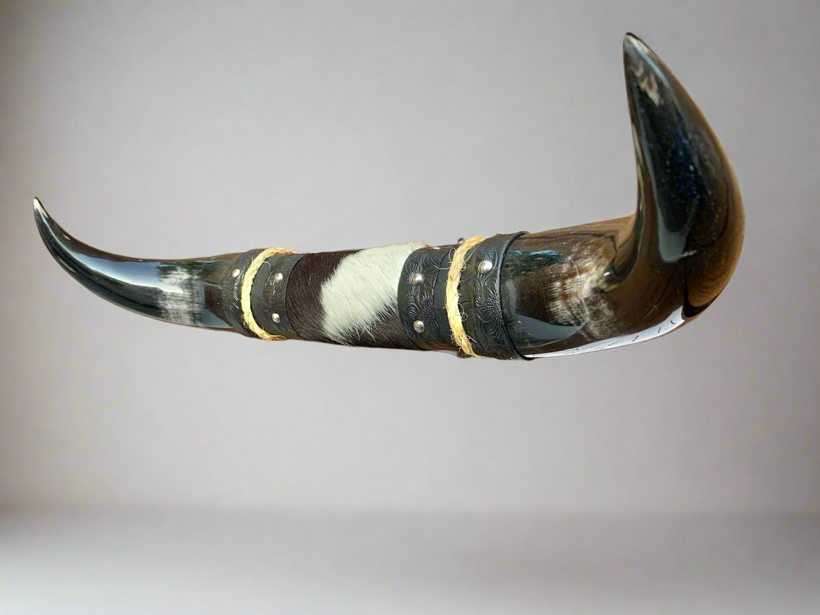 Mounted Steer Horns (18.25")