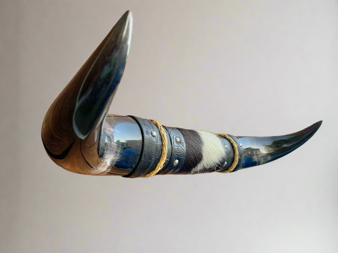 Mounted Steer Horns (18.25")