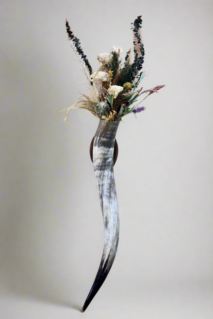 Steer Horn Wall Piece