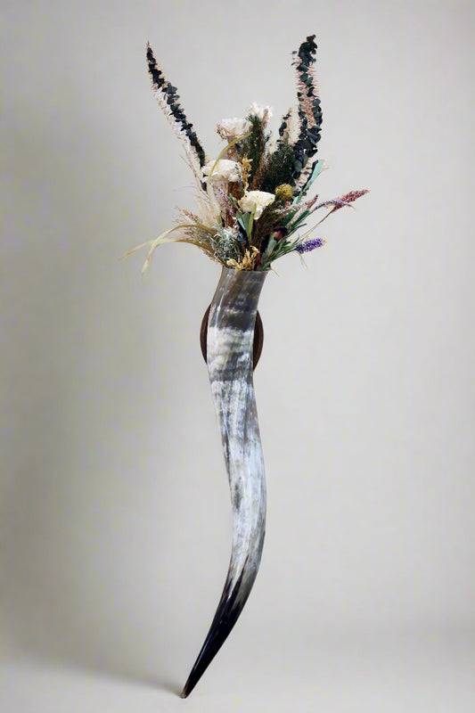 Steer Horn Wall Piece