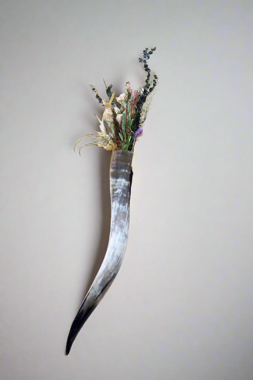 Steer Horn Wall Piece