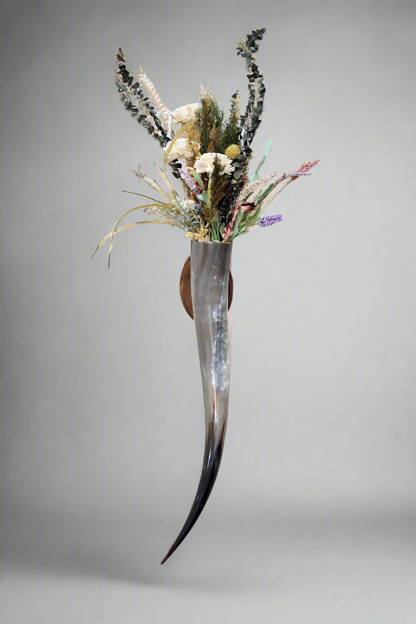 Steer Horn Wall Piece