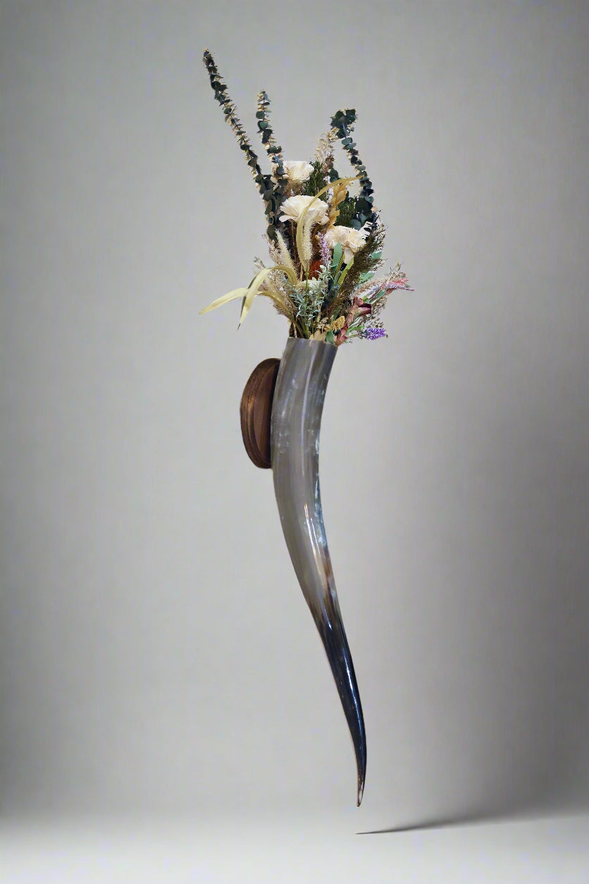 Steer Horn Wall Piece