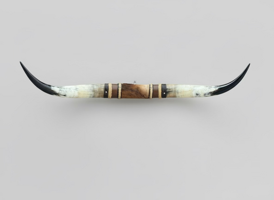 Mounted Steer Horns (50")