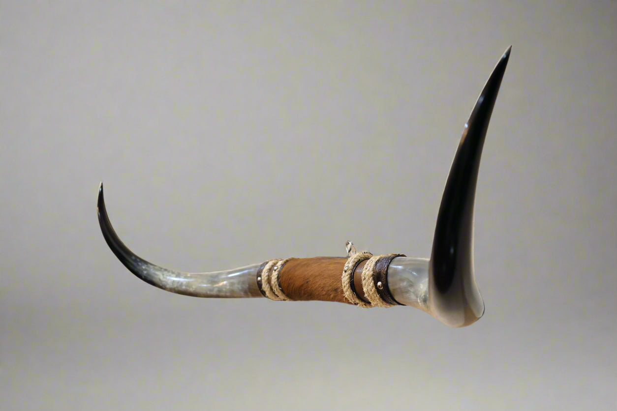 Mounted Steer Horns (43.25")