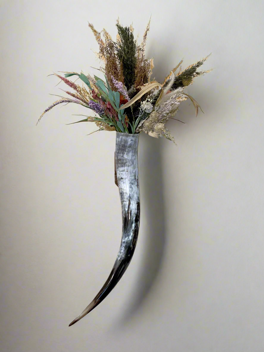 Steer Horn Wall Piece