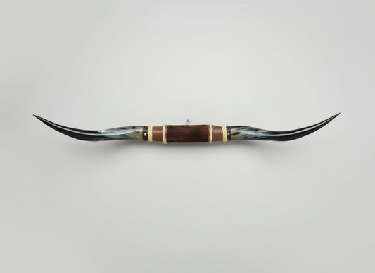 Mounted Steer Horns (51.25")