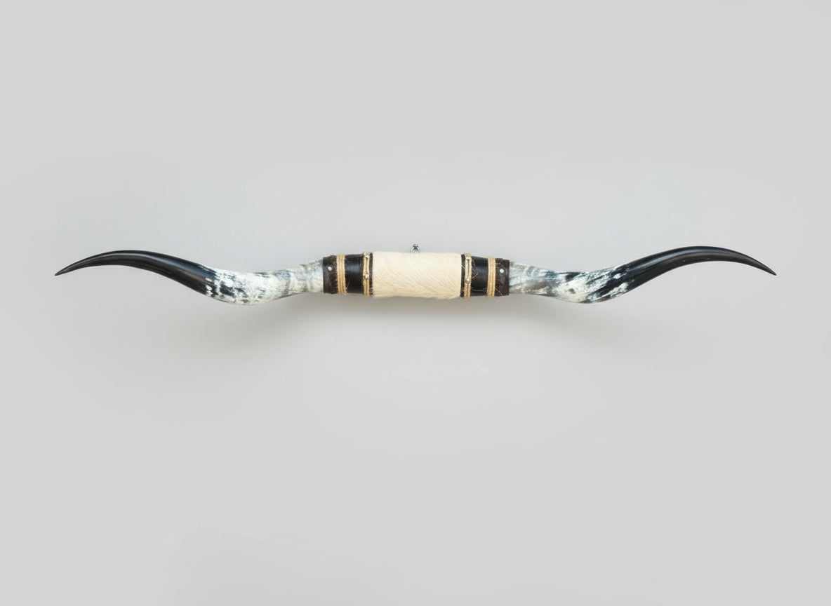 Mounted Steer Horns (53")