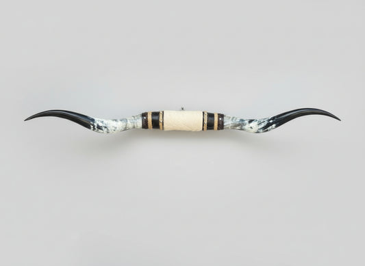 Mounted Steer Horns (53")