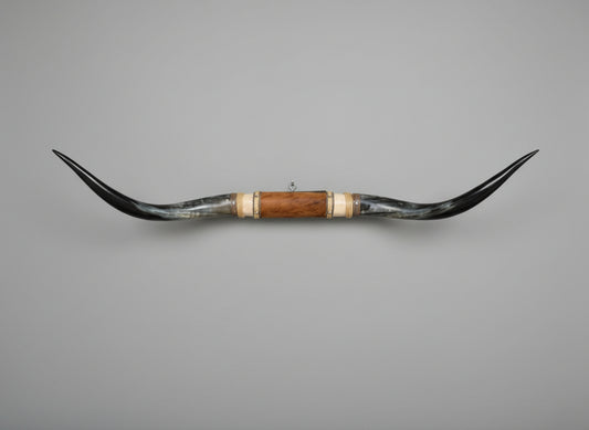 Mounted Steer Horns (49")