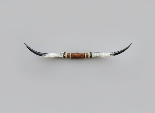 Mounted Steer Horns (50")