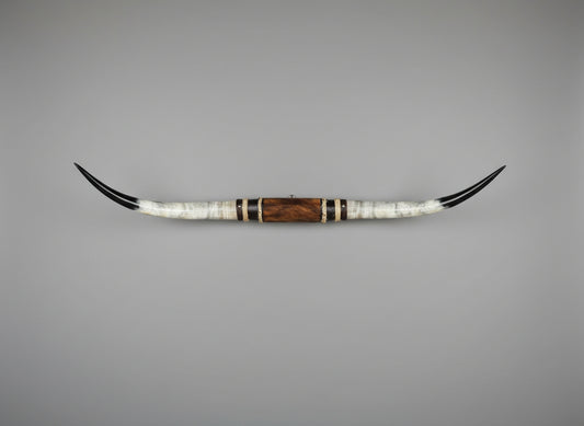 Mounted Steer Horns (49.5")