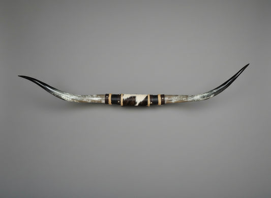 Mounted Steer Horns (52.5")