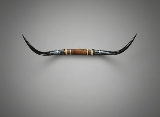 Mounted Steer Horns (47.5")