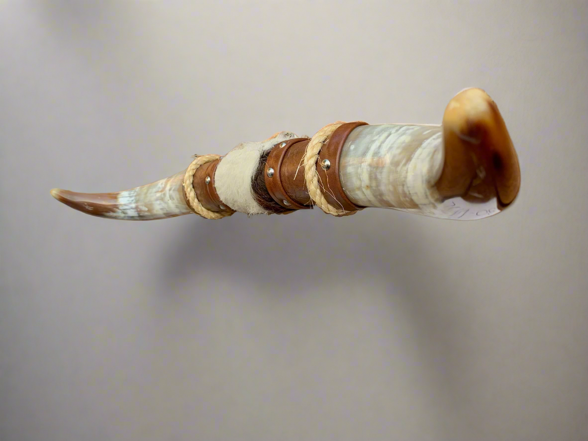 Mounted Steer Horns (21.5")