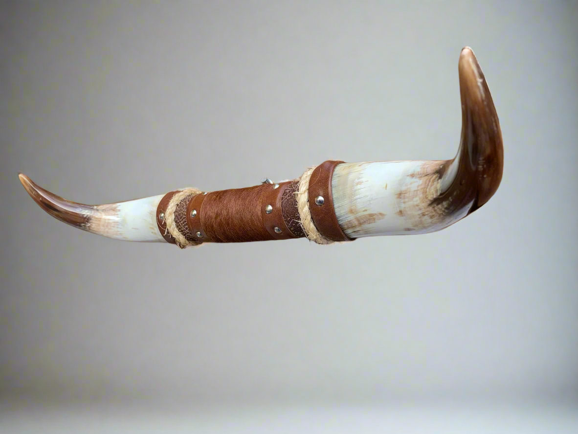 Mounted Steer Horns (19.75")