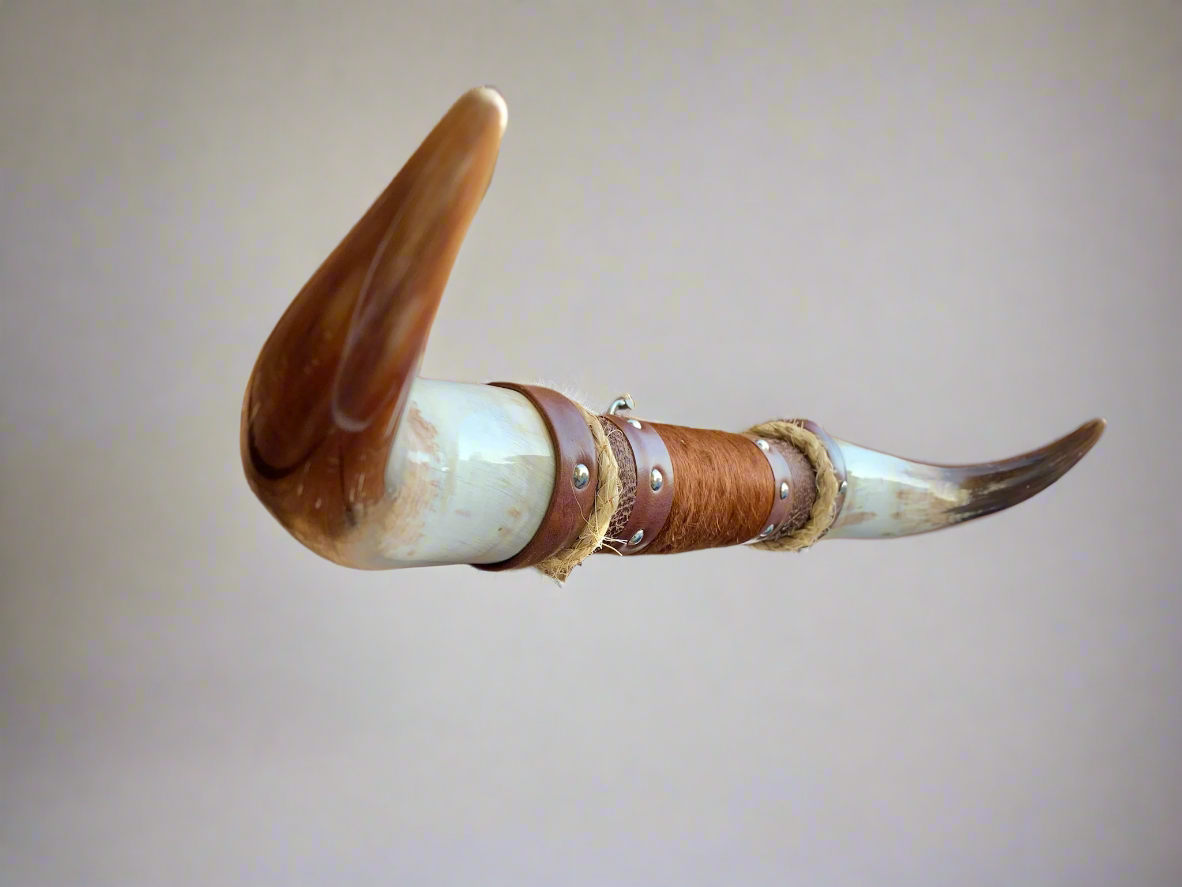 Mounted Steer Horns (19.75")