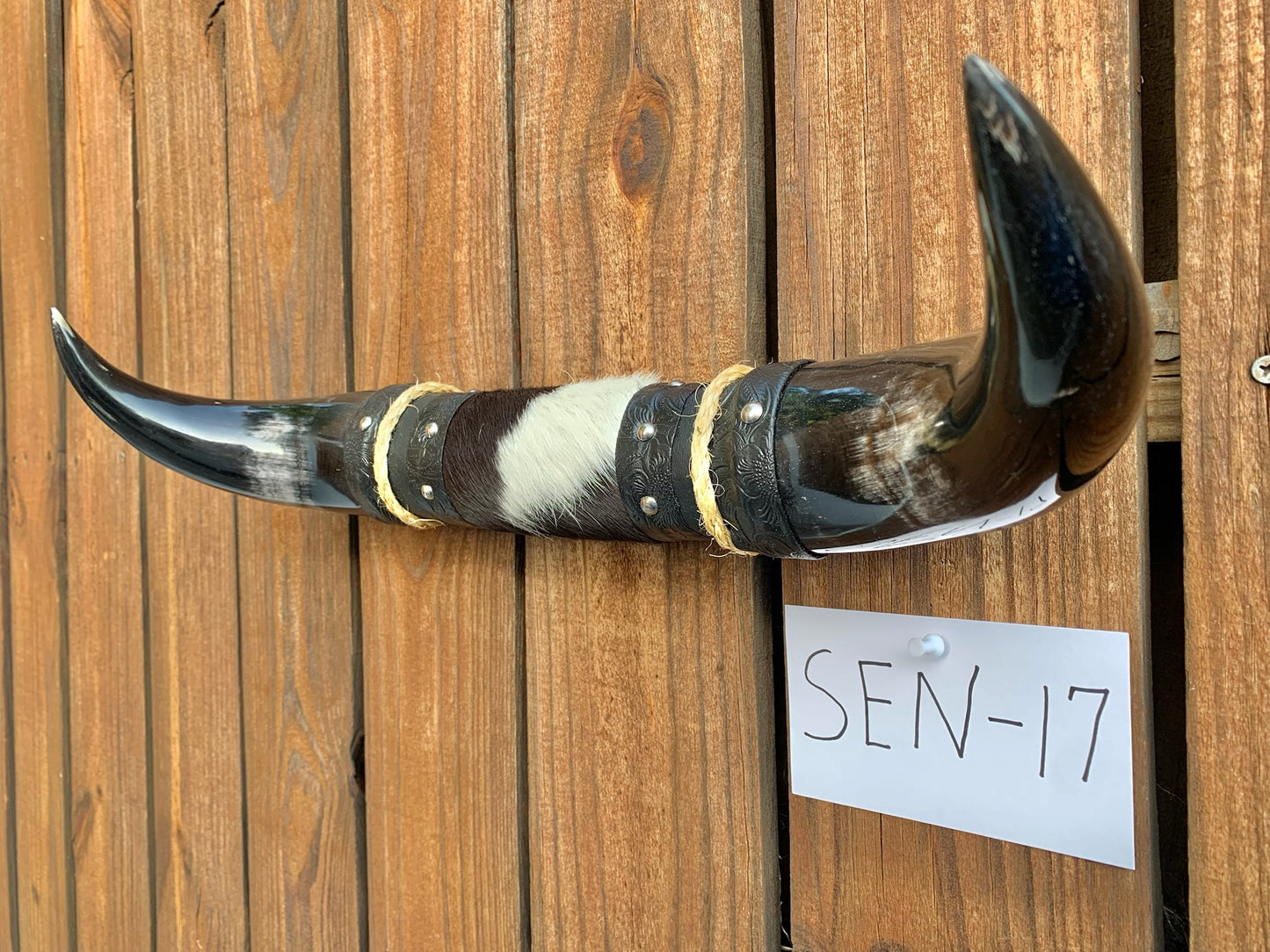 Mounted Steer Horns (18.25")