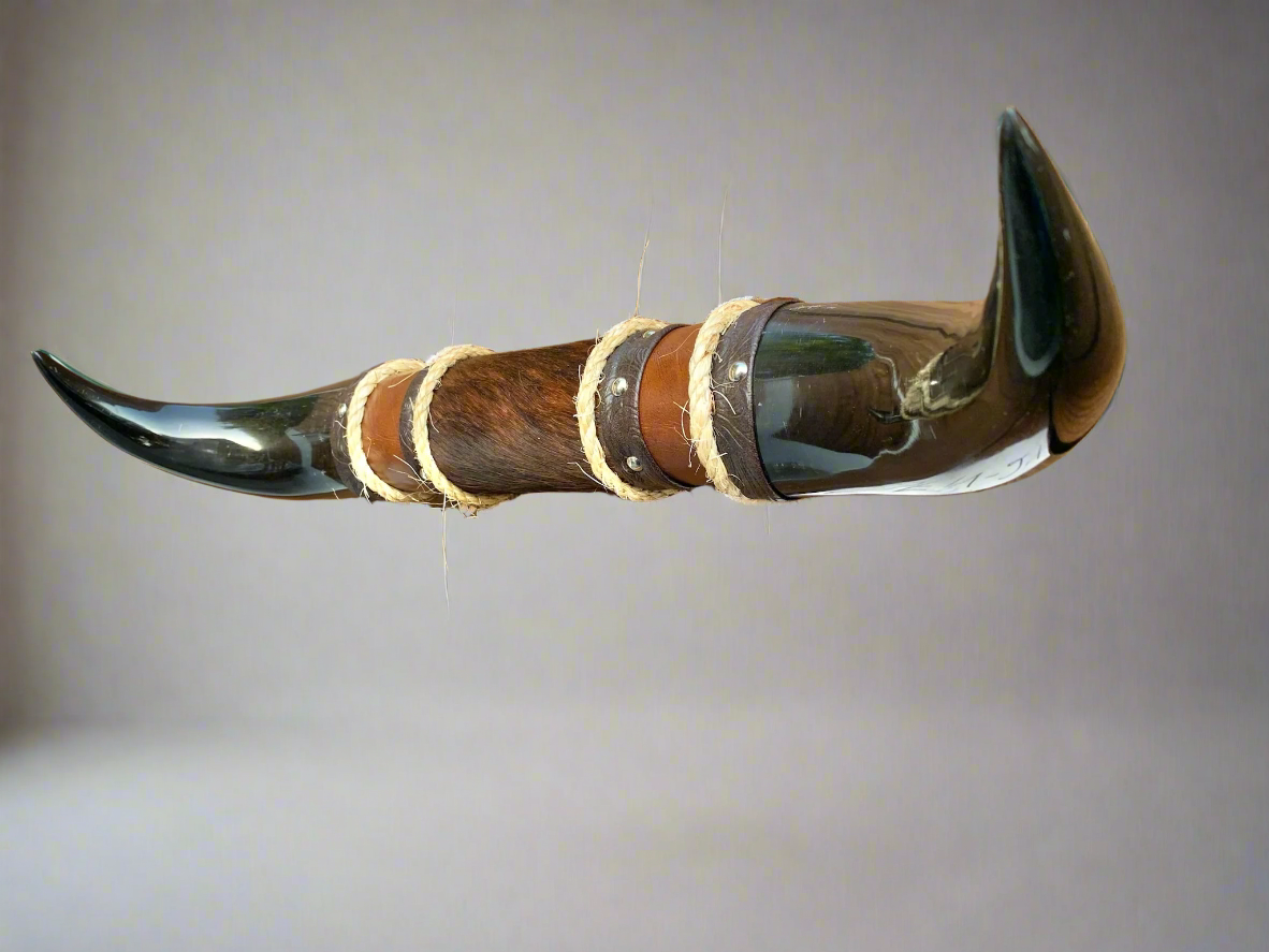 Mounted Steer Horns (18.5")