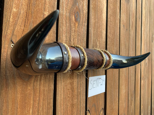 Mounted Steer Horns (18.5")