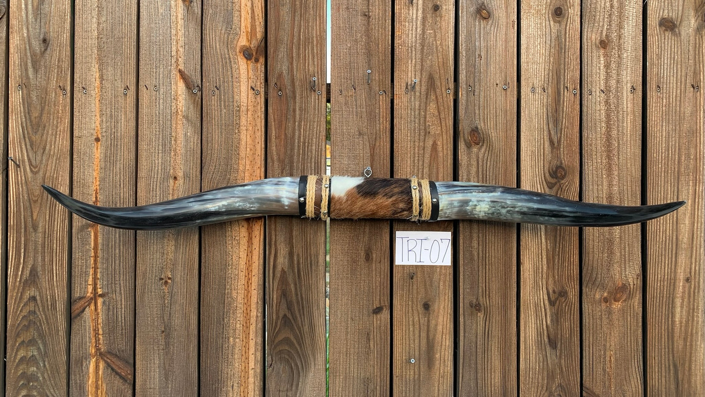 Mounted Steer Horns (42.5")