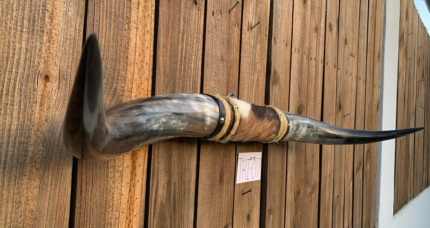 Mounted Steer Horns (42.5")