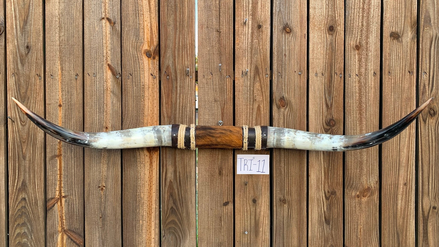 Mounted Steer Horns (49.5")