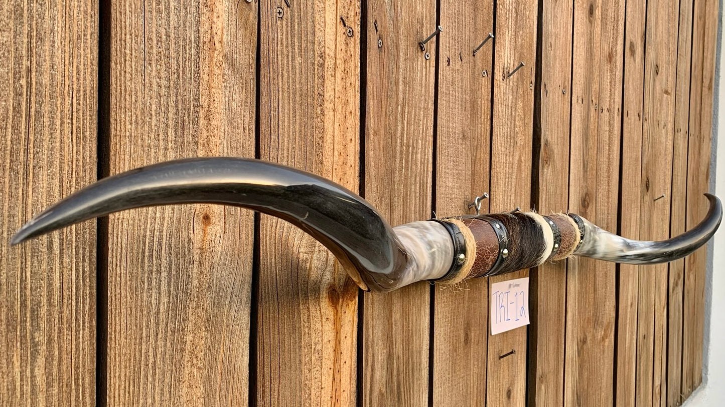 Mounted Steer Horns (51.25")